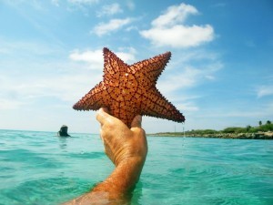 charter private aruba snorkeling boot starfish